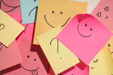 la conciencia emocional